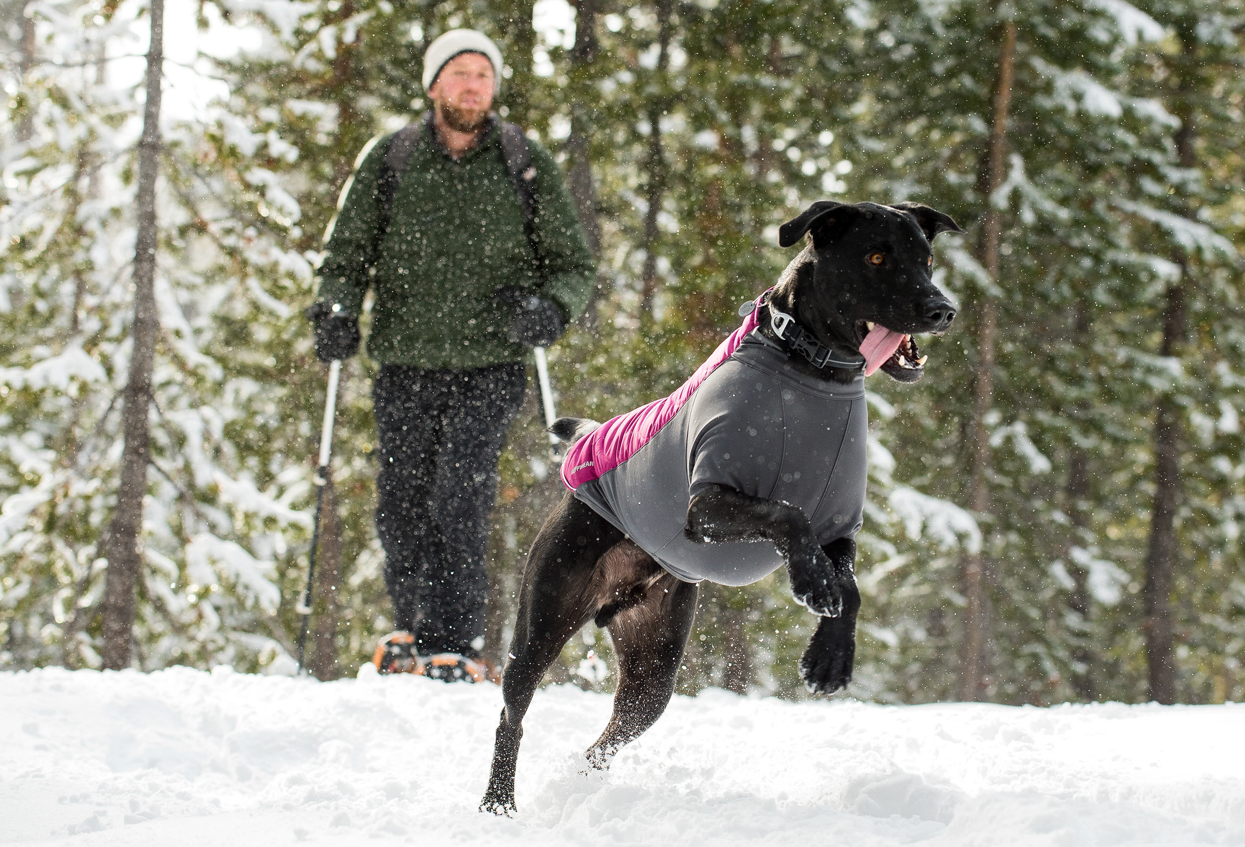 Cool-Dog-Photography-Snow-Oregon