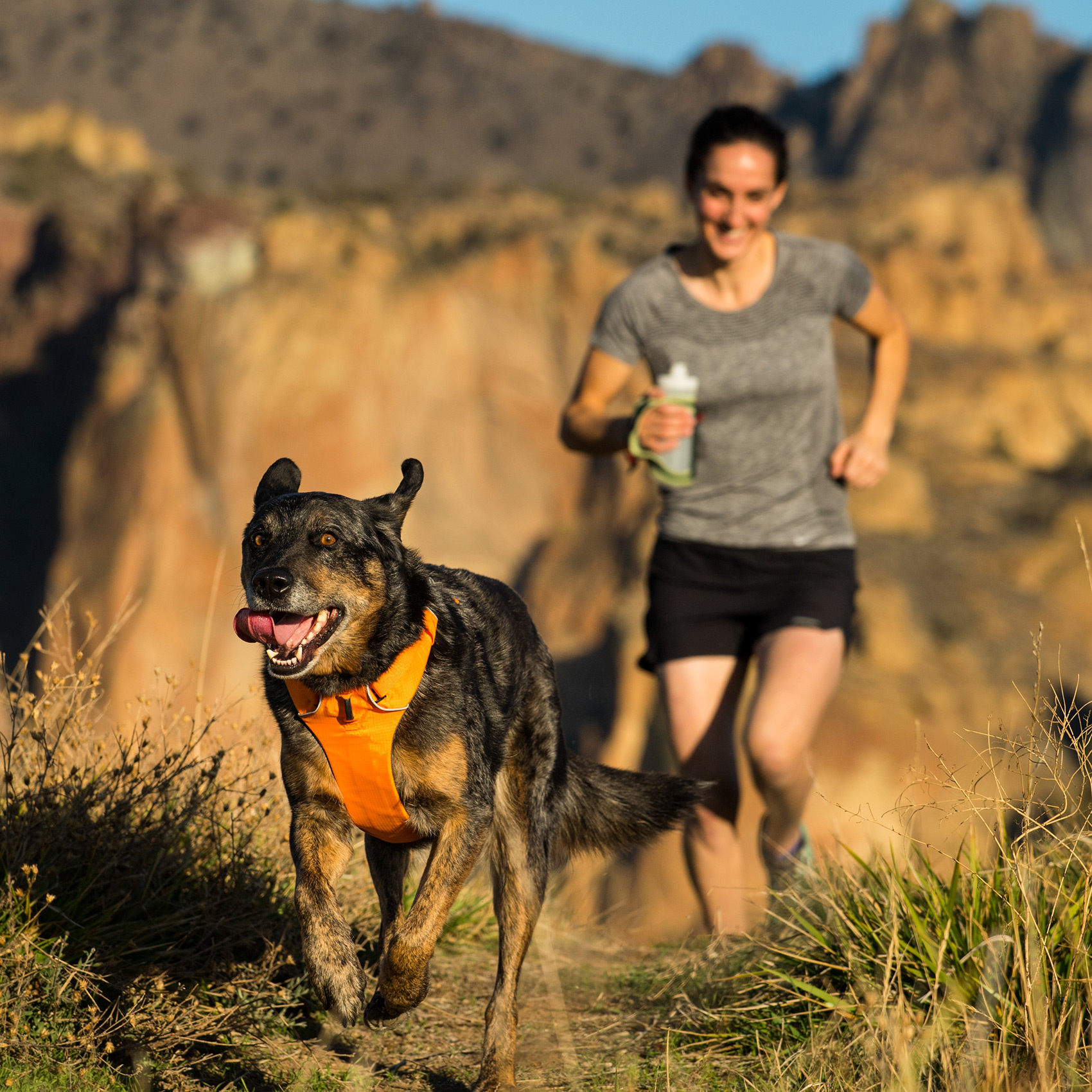 Running-Dog-Outdoor-Photography-Smith-Rock-Oregon